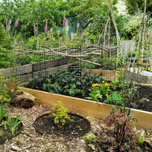 Raised Garden Beds Tanalised Timber - 3.0m (10ft) x 1.2m (4ft)