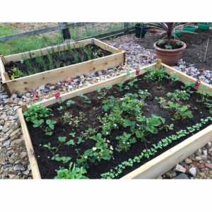 Untreated Timber Raised Garden Beds - 1.2m (4ft) x 1.2m (4ft)